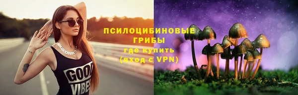 spice Россошь
