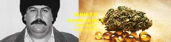ПСИЛОЦИБИНОВЫЕ ГРИБЫ Аркадак