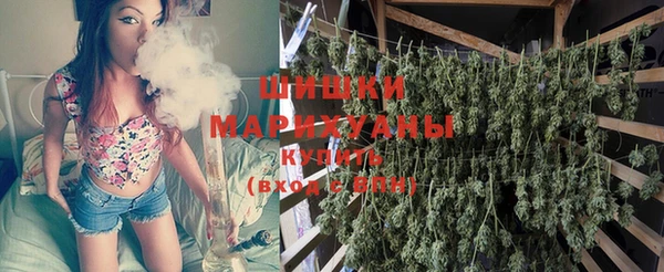 ПСИЛОЦИБИНОВЫЕ ГРИБЫ Аркадак